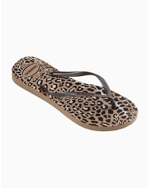 Havaianas Brown Slim Animals