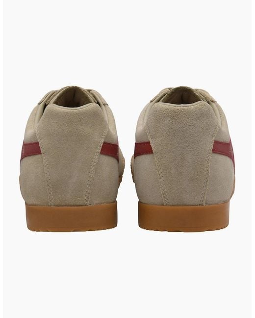 Gola Brown Harrier Trainers for men