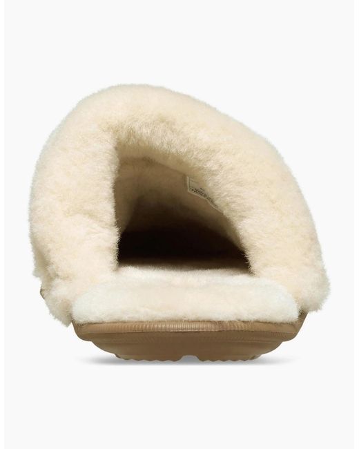 CROCSTM Brown Classic Fuzz Scuff Thermoplastic Sepia Slippers for men