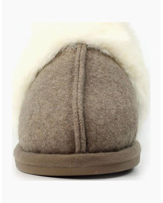 Lunar Brown Ember Iii Boxed Slippers