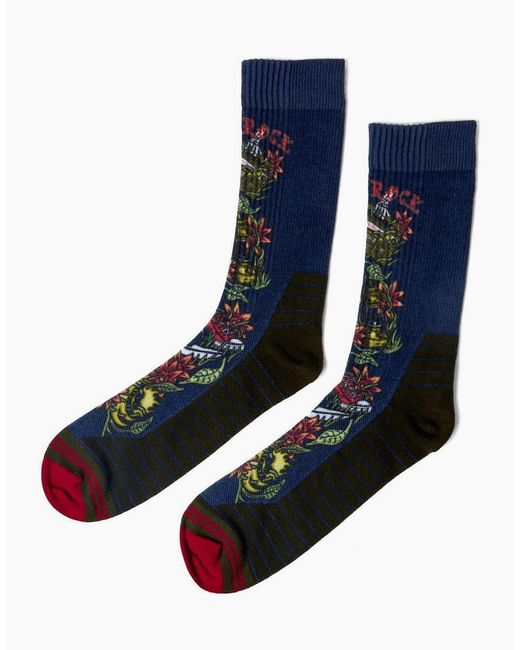 Saltrock Blue Adults Wanderer Crew Socks for men