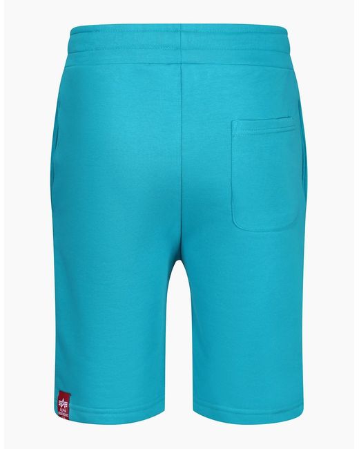 Alpha Industries Blue Basic Print Logo Shorts for men