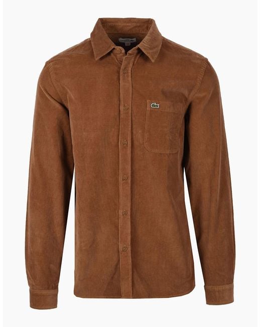 Lacoste Brown Cord Shirt Tan for men