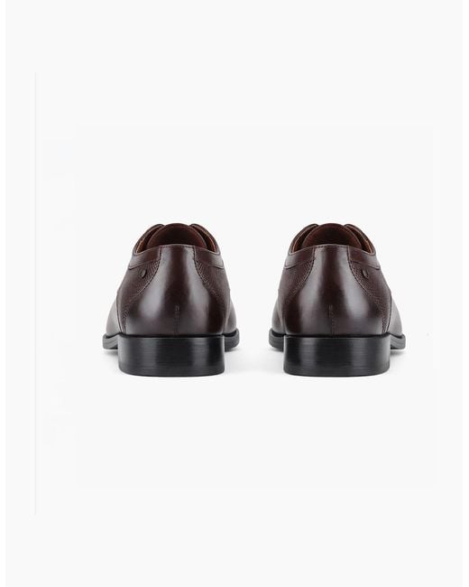 Base London Brown London Dome Derby Shoes for men
