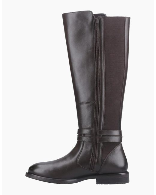 Hush Puppies Brown Victoria Knee High Boots