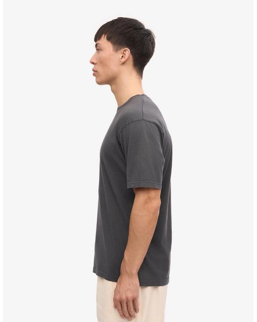 COLORFUL STANDARD Gray Classic Organic T-Shirt for men
