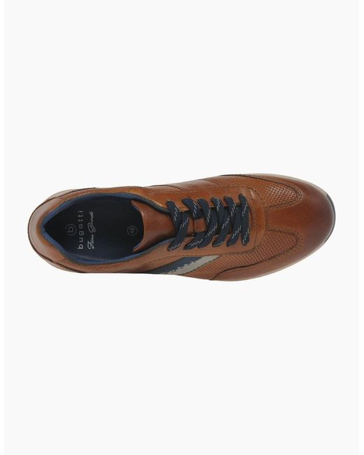 Bugatti Brown Truman Trainers for men