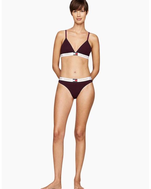 Tommy Hilfiger Purple Golden Heritage Bikini Brief, Burgundy