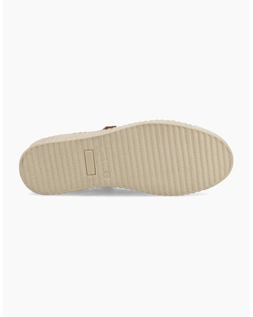 Hush Puppies Brown Tara Trainers