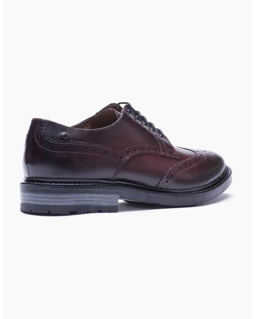 Base London Purple London Tanner Leather Bordo Brogues Shoes for men