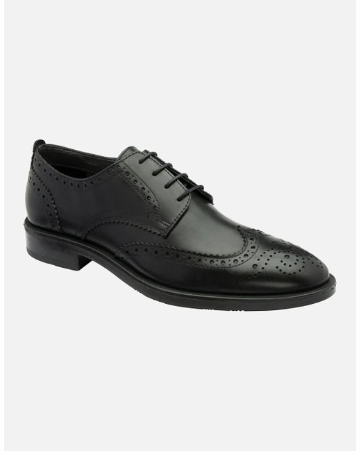Frank Wright Black Crawford Lace Up Shoes for men