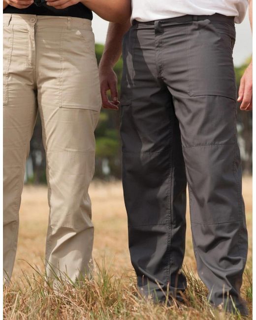 Regatta Blue New Action Trouser (Regular) Pants for men