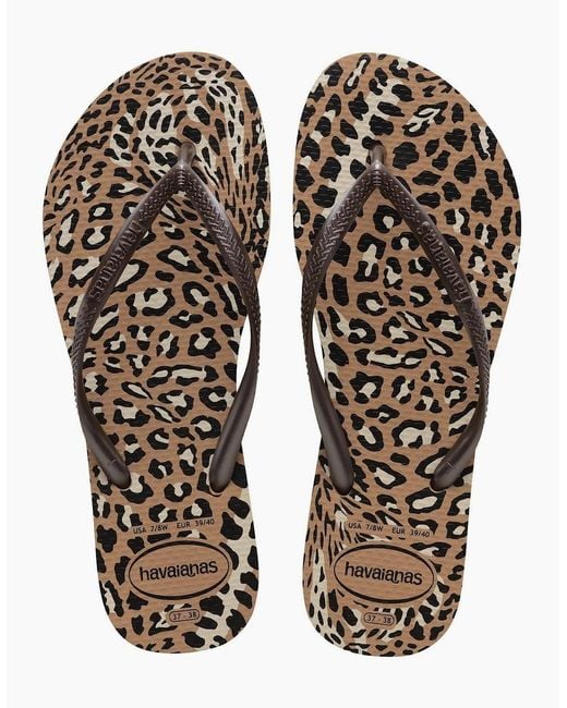 Havaianas Brown Slim Animals