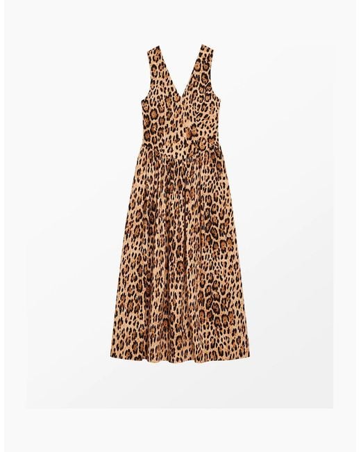 Ro&zo White Petite Alexis Leopard Print Cotton Sateen Dress