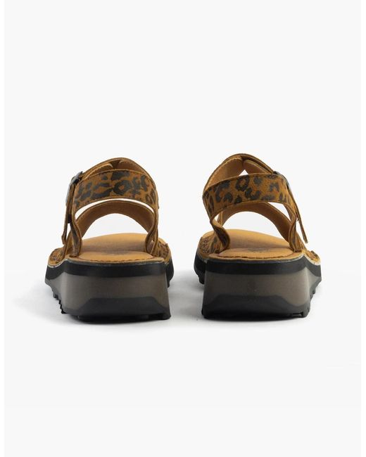 Fly London Brown Haly559Fly Sandals Tan