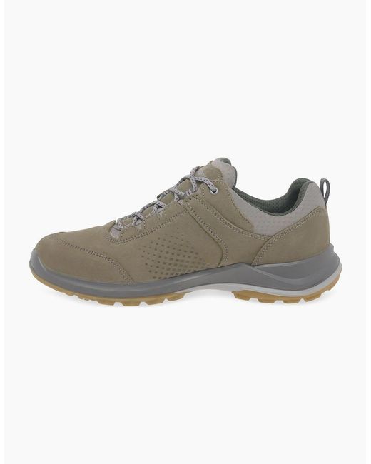 Grisport Gray Icarus Walking Shoes for men