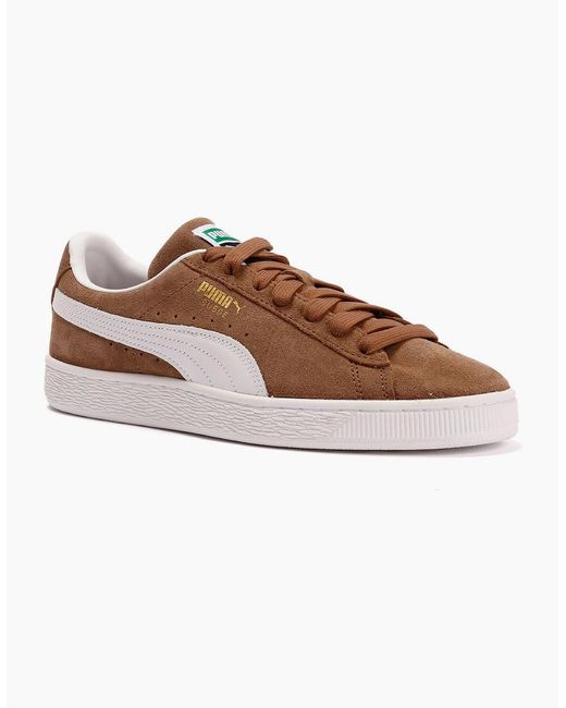 PUMA Brown Classic Suede Haute Coffee/ Trainers
