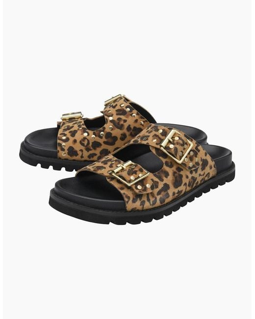 Lotus Brown Conti Sandals