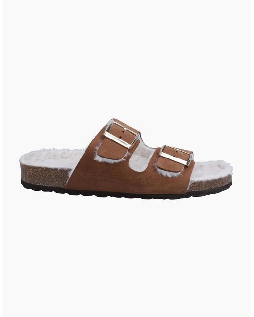 Hush Puppies Brown Jessie Ladies Slippers Tan