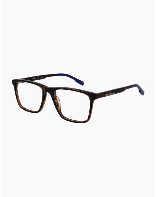 Hackett Brown Optical Frame Hek1310 103 51 for men