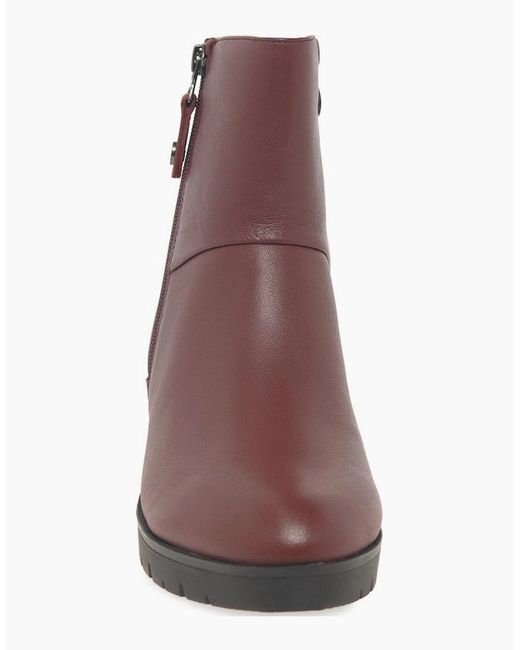 Caprice Brown Antonia Ankle Boots