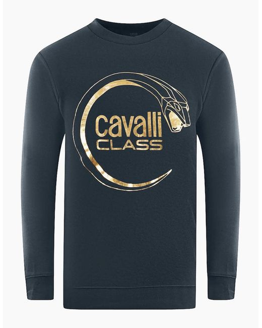 Roberto Cavalli Blue Cavalli Class Piercing Snake Logo Sweatshirt