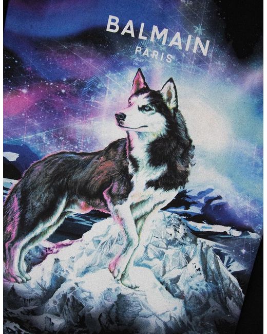 Balmain Blue Lone Wolf Sweatshirt for men