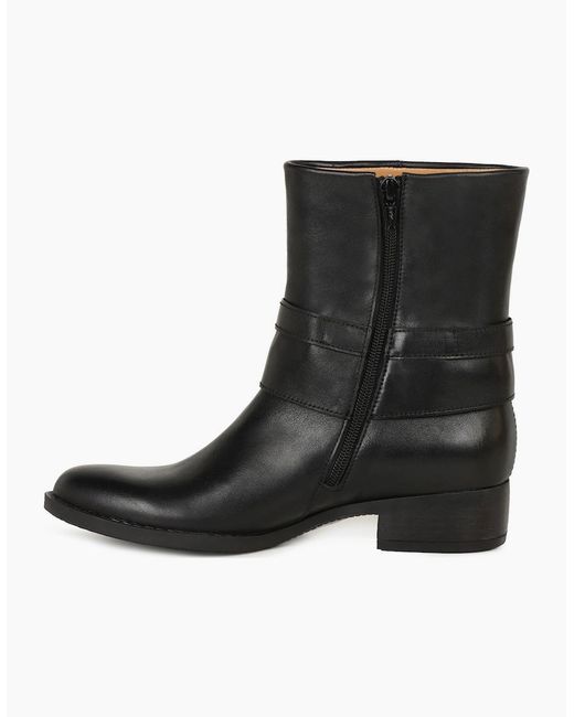Gabor Black Ginger Ankle Boots