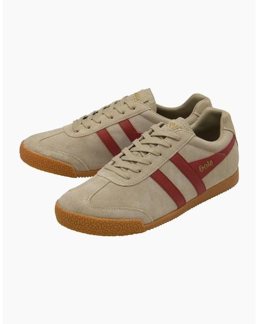 Gola Brown Harrier Trainers for men