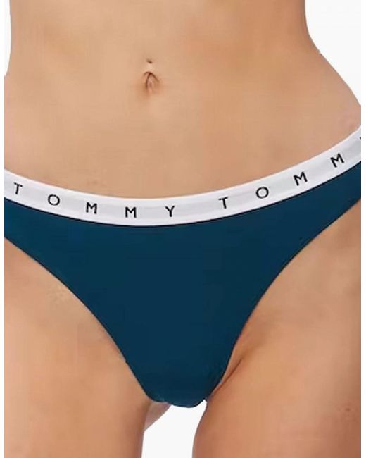 Tommy Hilfiger Red Cotton 3-Pack Thong, Exotic Berry/Gingham/Night Diver