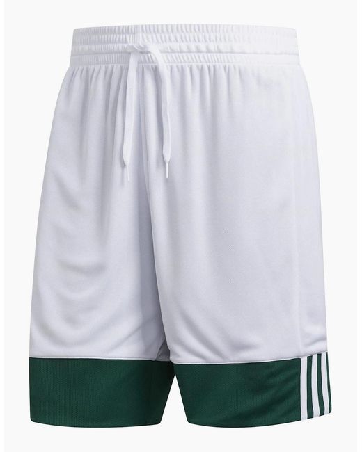 Adidas Green Spee Rev Shr Basketball Shorts for men