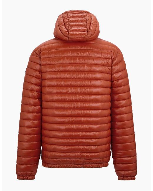 Regatta Red Hurden Padded Jacket for men