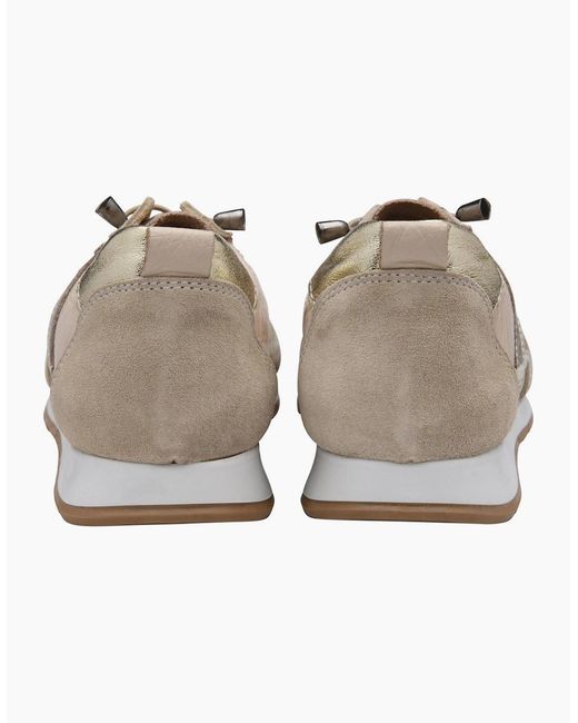 Lotus White Lola Trainers