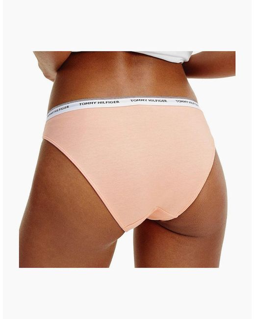 Tommy Hilfiger White Essentials 3-Pack Brief, Glacier/Rose/Papaya Punch