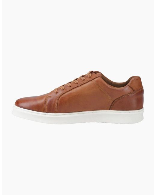 Hush Puppies Brown Madden Trainers for men