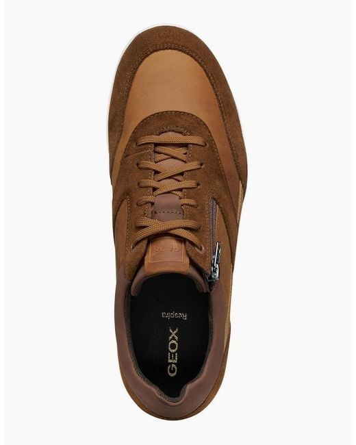 Geox Brown U Renan A Trainers for men