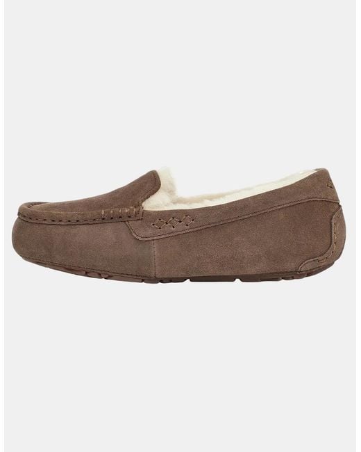 Ugg Brown Ansley Slippers