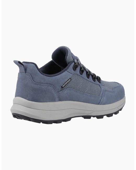 Cotswold Blue Elmfield Suede Hiking Shoes
