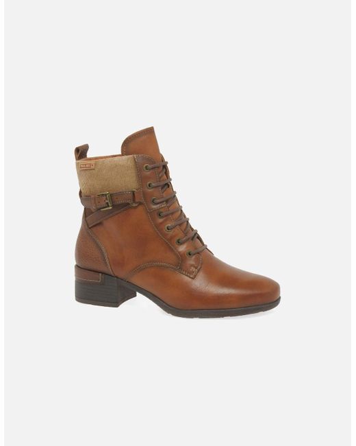 Pikolinos Brown Marcia Ankle Boots