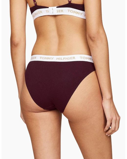 Tommy Hilfiger Purple Golden Heritage Bikini Brief, Burgundy