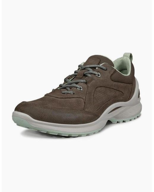 Ecco Brown Biom Energi Walking Trainers