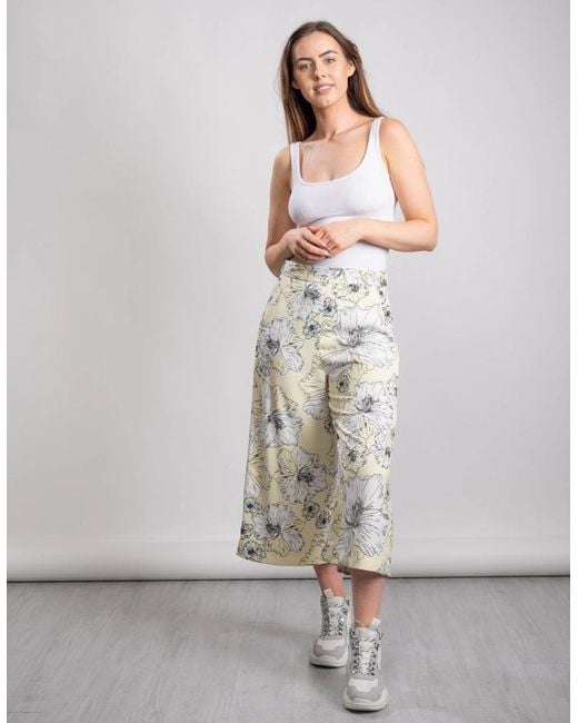 Great Plains Gray Great Plains Tropical Fauna Culotte