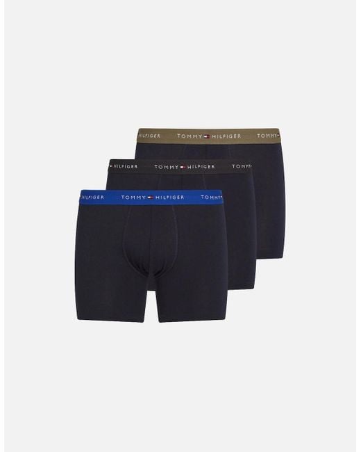 Tommy Hilfiger Blue 3-Pack Signature Cotton Coloured Band Boxer Briefs, /Utility for men