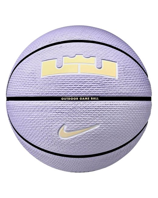 Nike Blue Lebron James Playground 2.0 Basketball