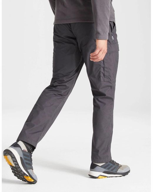 Craghoppers Gray Expert Kiwi Tailored Trousers for men
