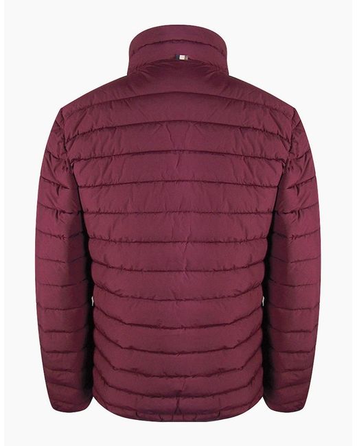 Aquascutum Purple Active 100 Cordovan Burgundy Jacket for men