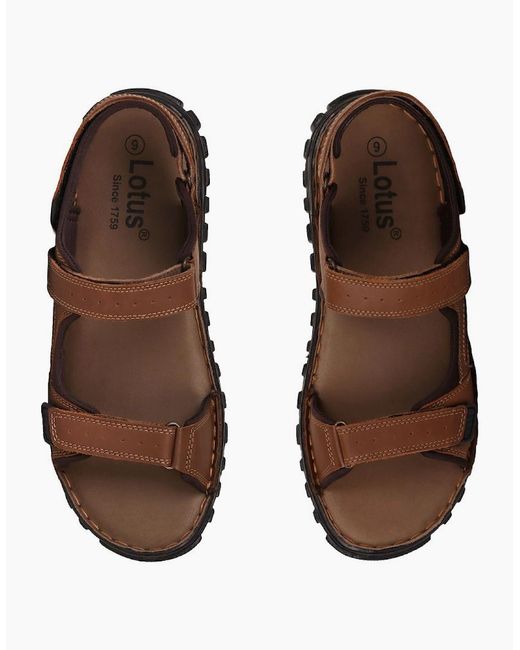 Lotus Brown Noah Sandals for men