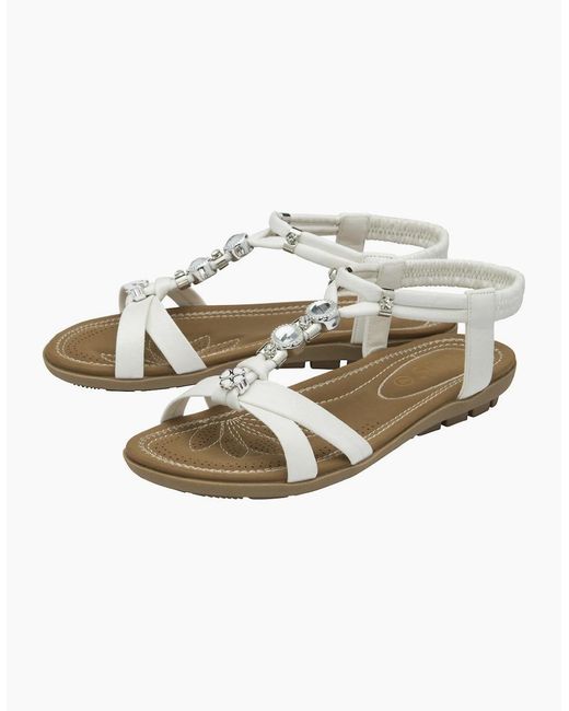 Lotus Metallic Daria Sandals