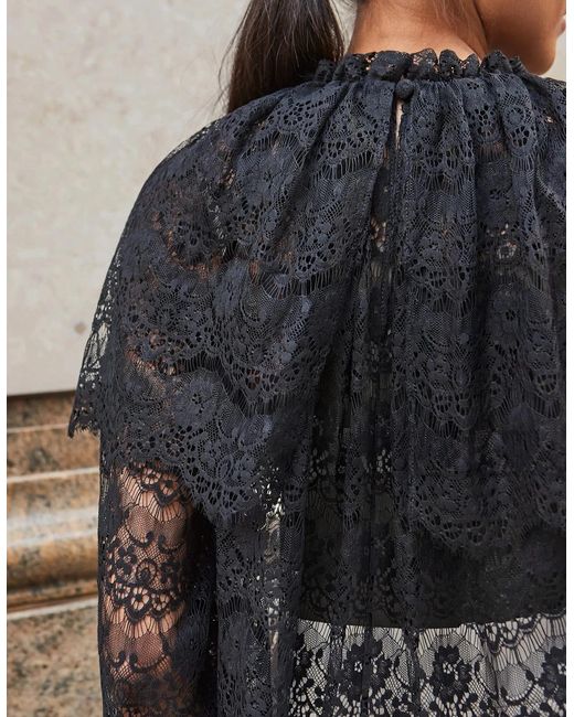 Ro&zo Black Lace Overlay Blouse
