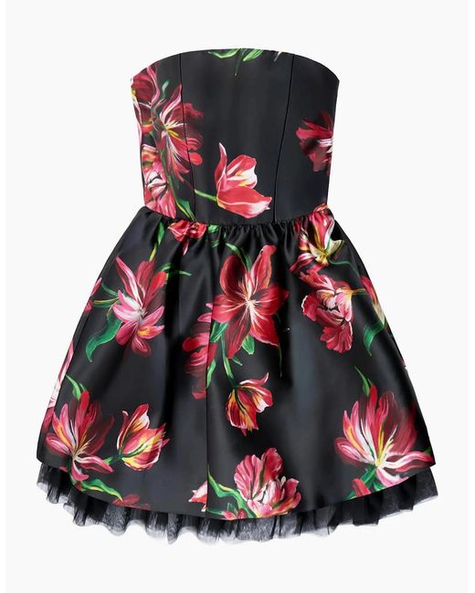Ro&zo Red Hannah Hand Painted Tulip Mini Dress
